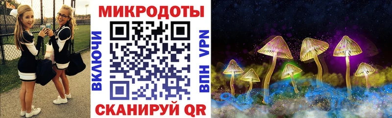 как найти   Новохопёрск  Галлюциногенные грибы Cubensis 